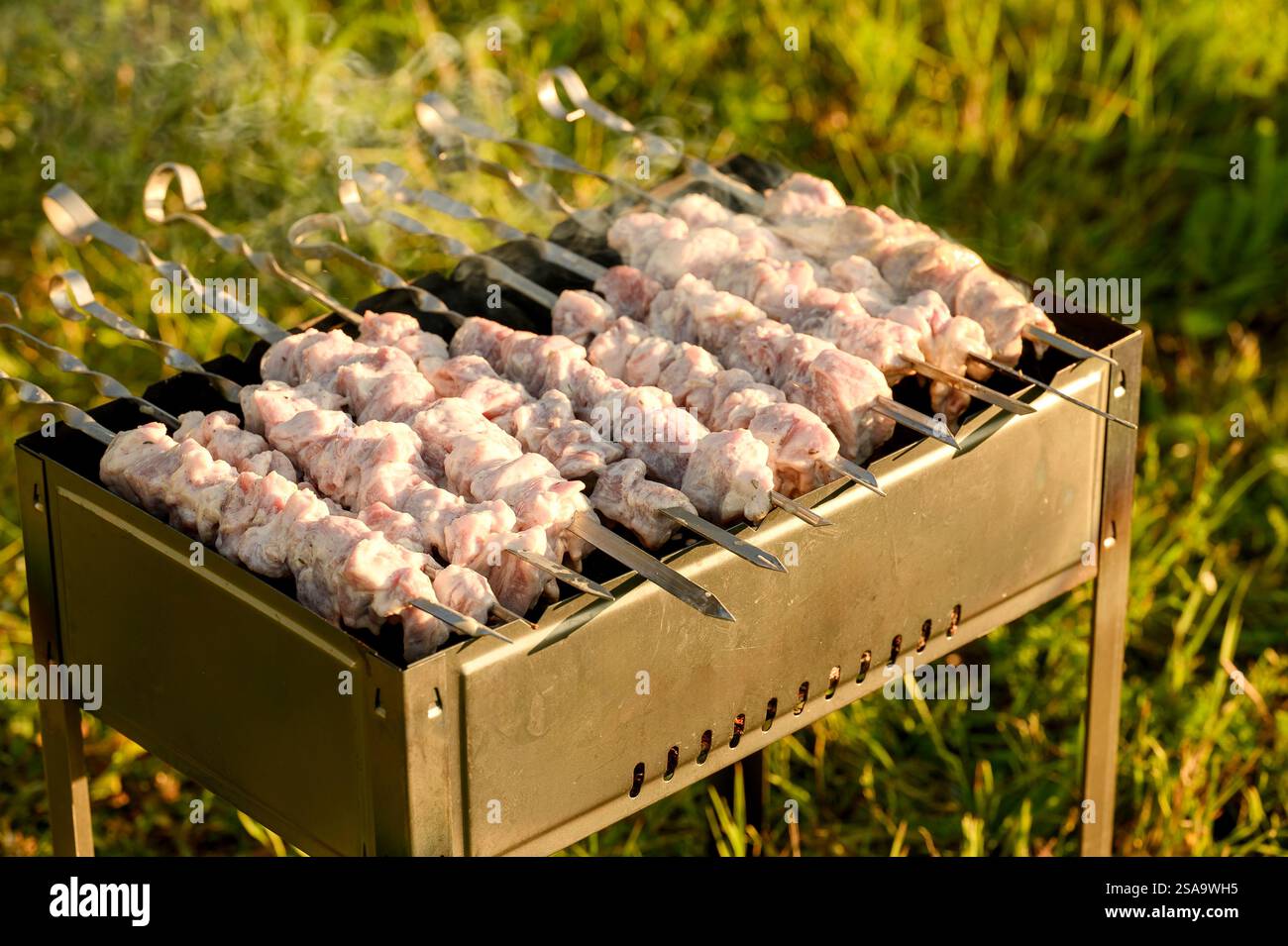 Pezzi di kebab shish crudo fresco, appesi su spiedini, giacciono su un barbecue di metallo con carbone e fumo, in una giornata di sole in natura. Barbecue per famiglie, picnic Foto Stock