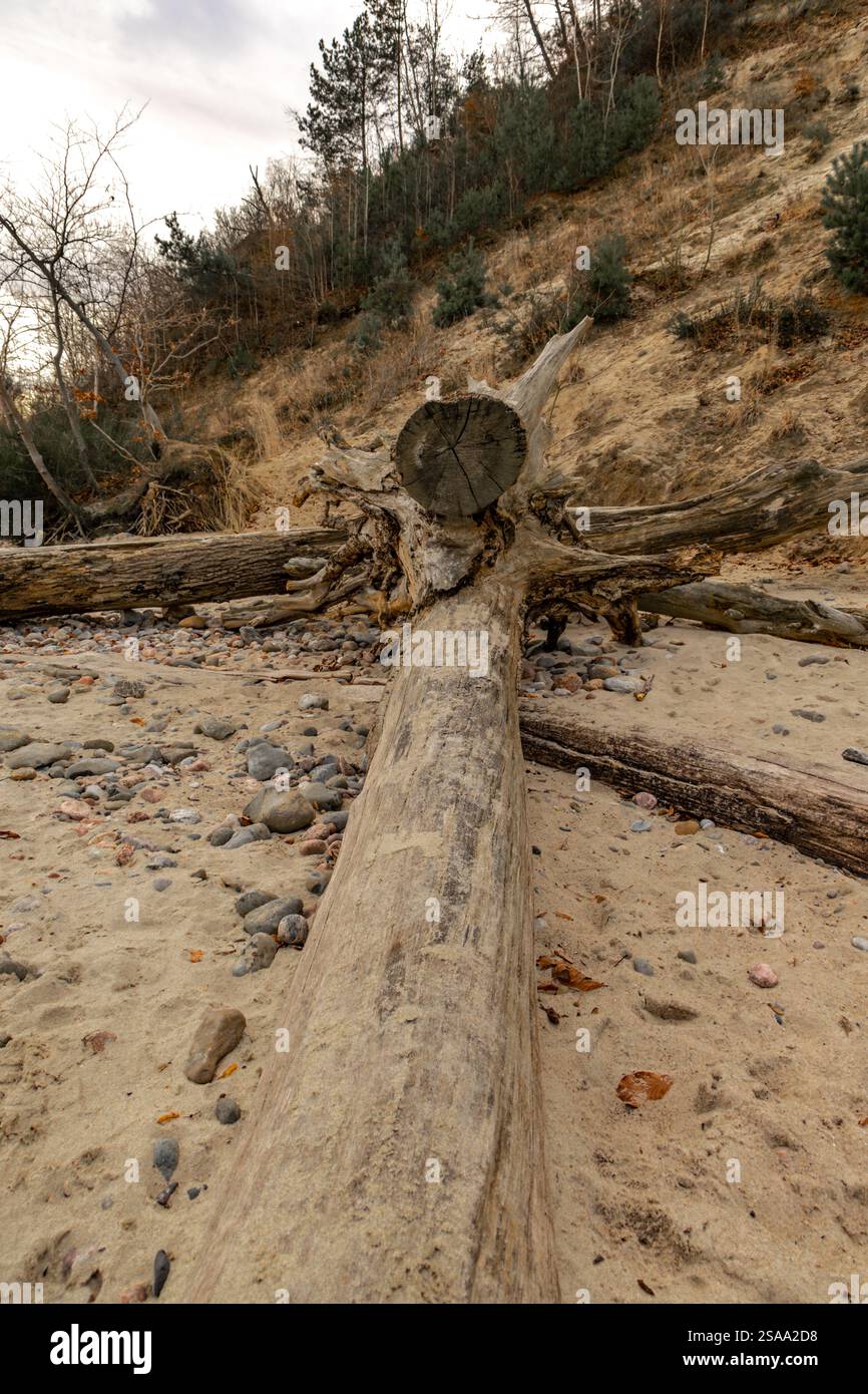 Natura selvaggia di Gdynia Orlowo, calmo Mar Baltico, alta scogliera, vecchie strutture metalliche gettate dal mare sulla spiaggia Polonia Foto Stock