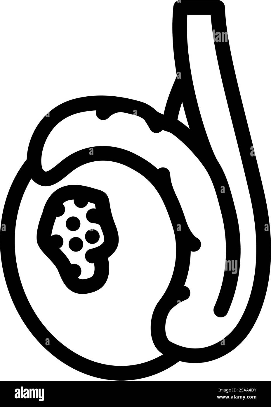 cancro testicolare uomo linea malattia vettore icona. segno di malattia dell'uomo cancro testicolare. illustrazione nera del simbolo del contorno isolato. illustrazione vettoriale dell'icona della linea della malattia dell'uomo del cancro testicolare Illustrazione Vettoriale