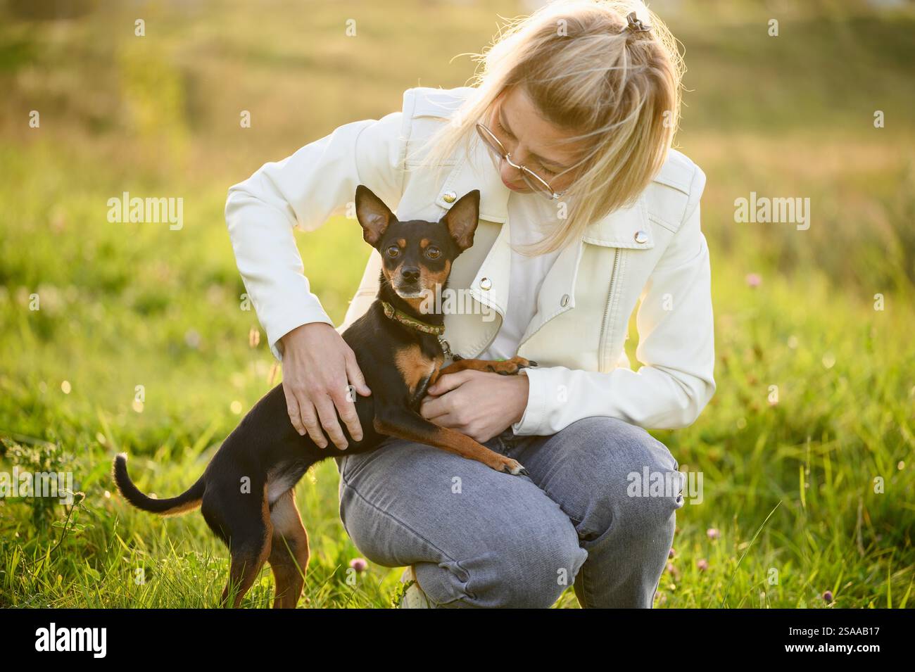 La donna bionda felice con gli occhiali allena un terrier giocattolo russo dai capelli lisci, nutre le sue prelibatezze salutari, insegna il comportamento corretto e nuovi trucchi in un mea Foto Stock