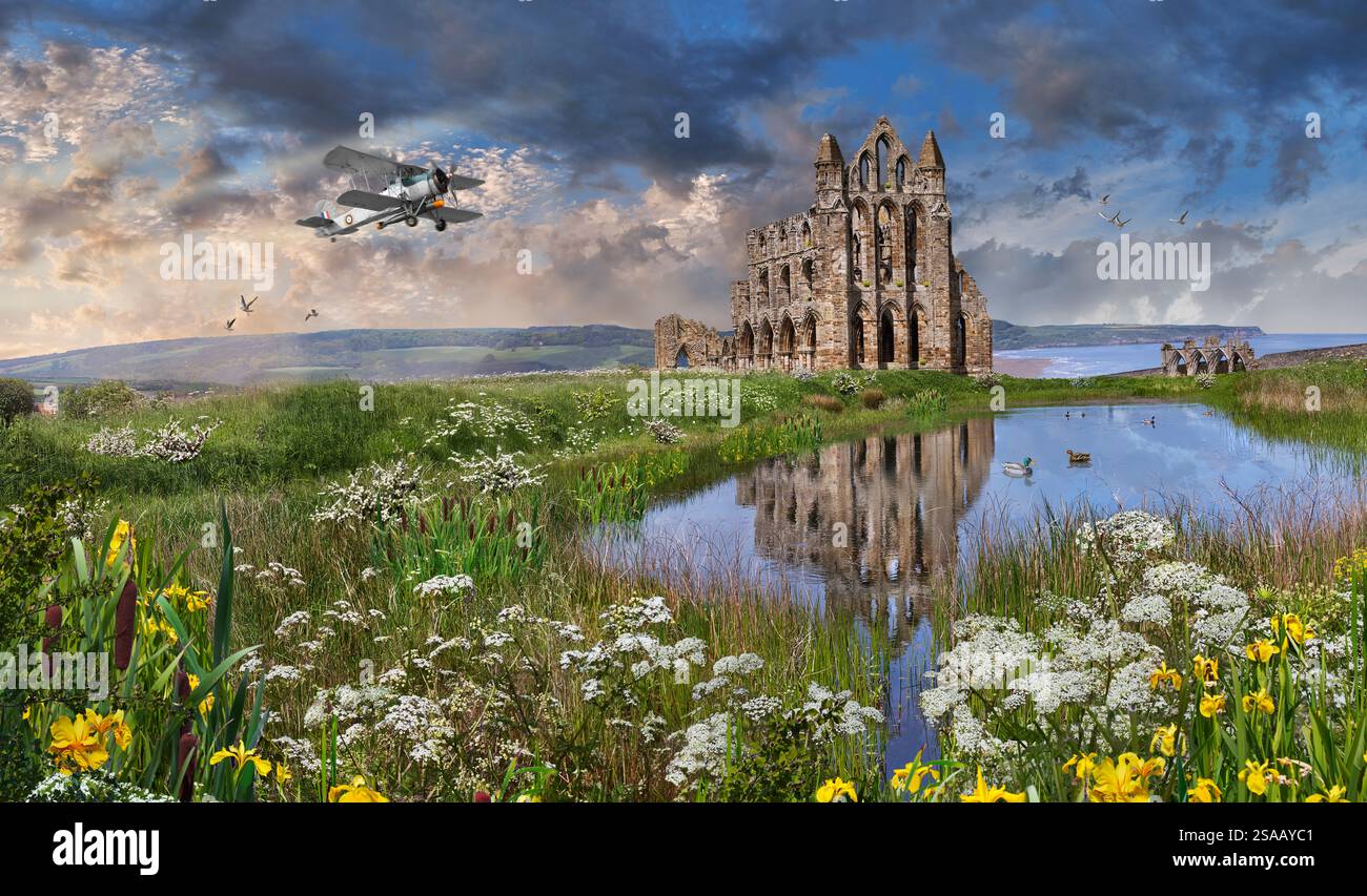 Pittoresche rovine medievali gotiche di Whitby Abbey, North Yorkshire, Inghilterra. L'abbazia di Whitby è famosa come un'importante abbazia cristiana Foto Stock