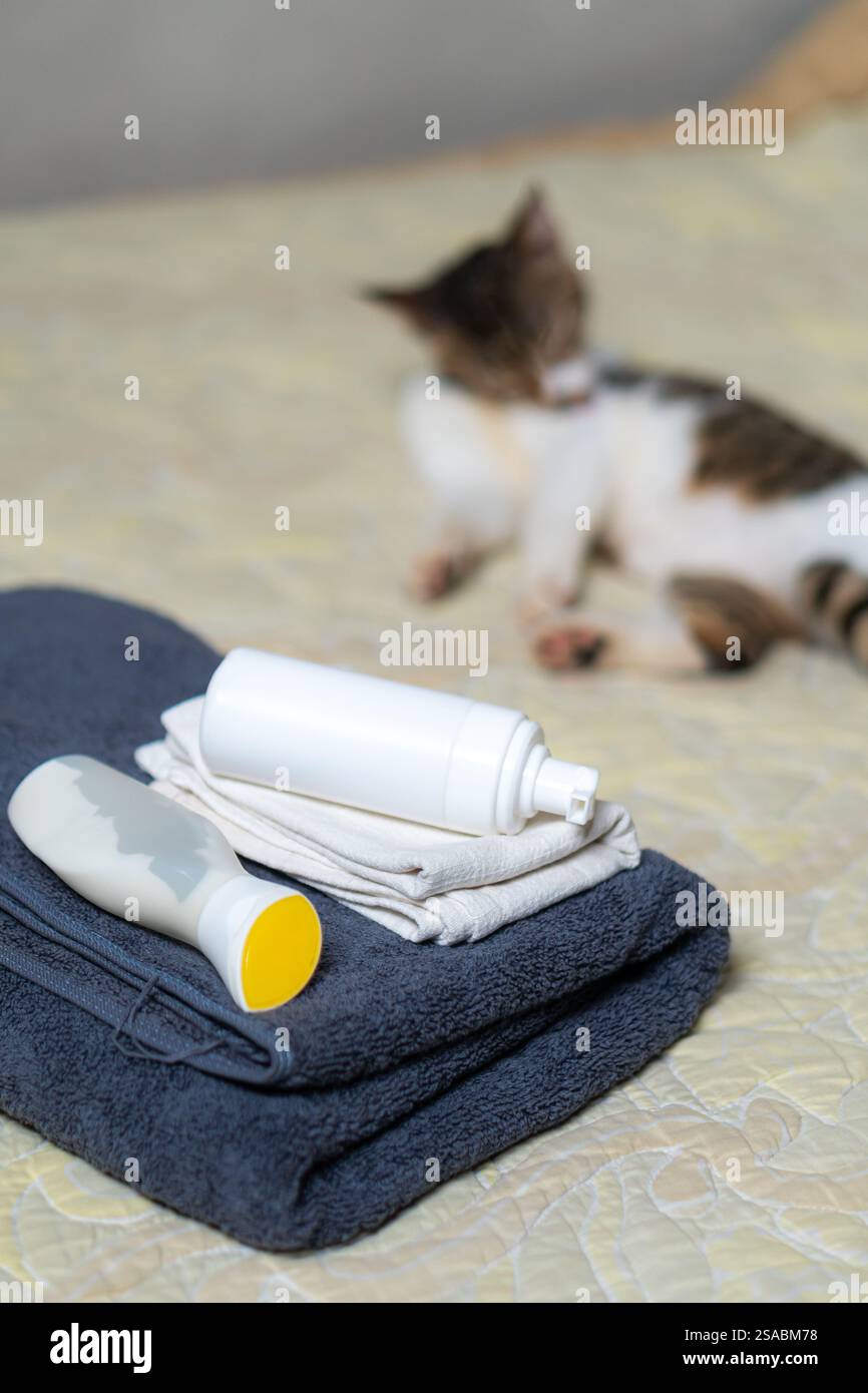 Un ambiente accogliente con asciugamani impilati e utensili per la cura del corpo su un letto, con un gatto sfocato sullo sfondo, che crea un'atmosfera calda e invitante Foto Stock