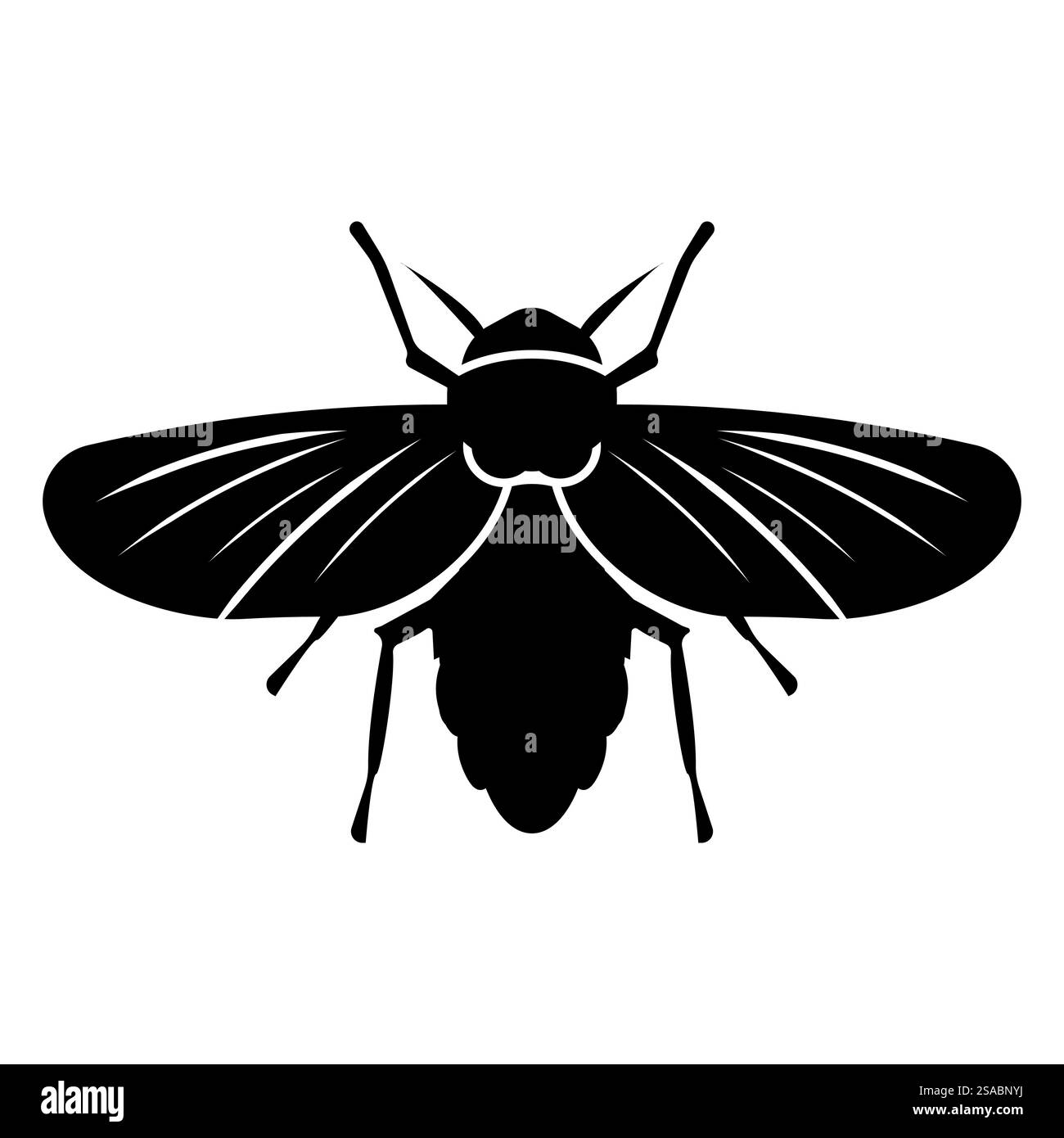 Una sorprendente silhouette nera di un insetto con ampie ali, ideale per progetti di design a tema naturale o materiali educativi relativi all'entomologia e alla fauna selvatica. Illustrazione Vettoriale