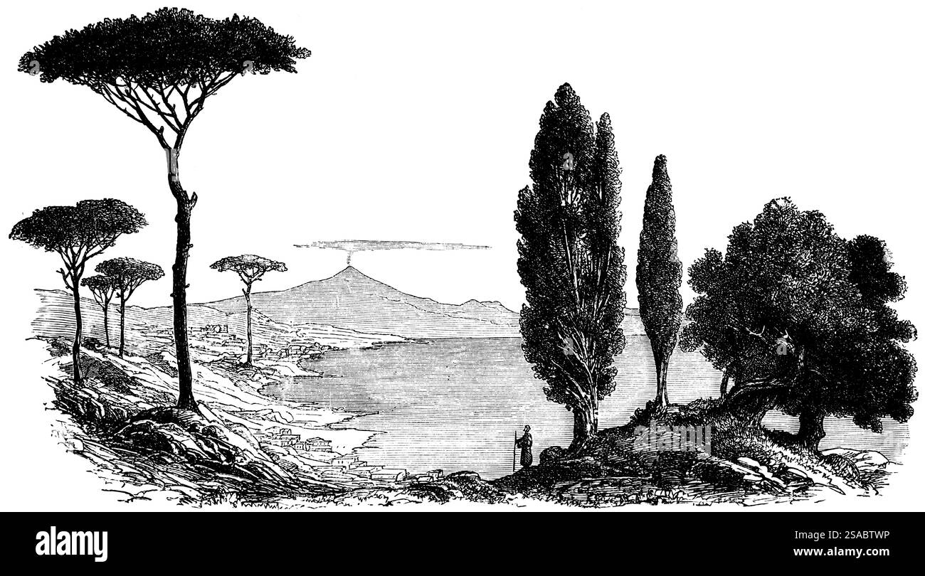 Paesaggio sul Golfo di Napoli con vista sul vulcano Etna fumante, vegetazione da sinistra, pino (Pinus pinea), cipresso mediterraneo (Cupress Foto Stock