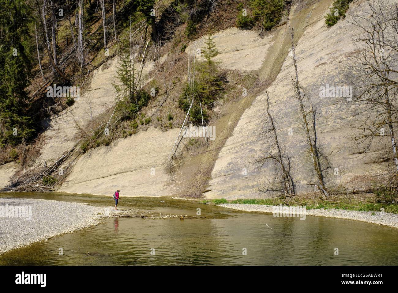Escursionista sul fiume Hohe Wand, Nagelfluh, Eistobel geotope, Obere Argen, nei pressi di Gruenenenbach, Allgaeu, Svevia, Baviera, Germania, Europa Foto Stock