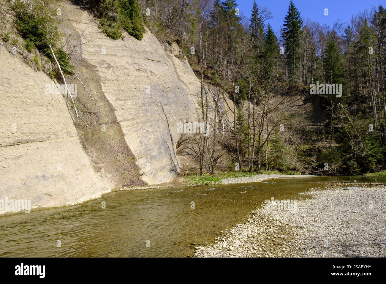 Hohe Wand, Nagelfluh, Eistobel geotope, Obere Argen, vicino a Gruenenbach, Allgaeu, Svevia, Baviera, Germania, Europa Foto Stock
