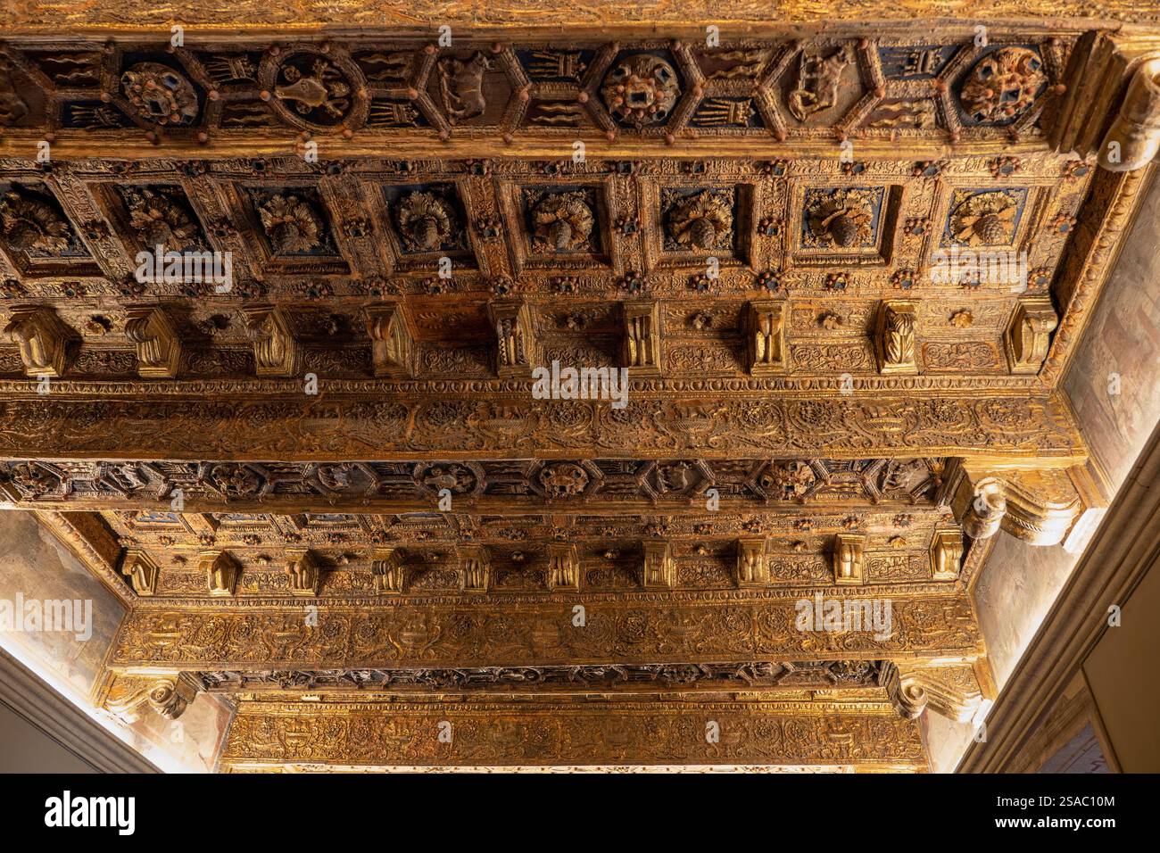 La sala dei Papi con soffitto in legno finemente intagliato negli Appartamenti Borgia all'interno dei Musei Vaticani. Foto Stock