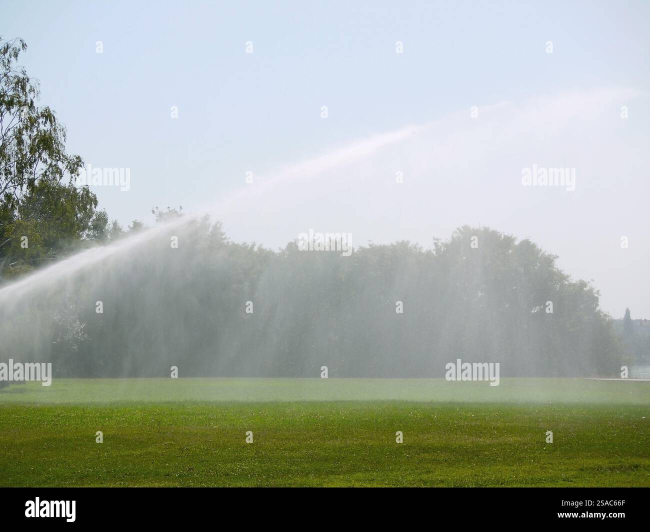 Sistema di irrigazione sull'isola del Danubio Donauinsel a Vienna. Innaffiare prati e alberi nel parco in una calda giornata estiva. Agricoltura per la protezione della siccità Foto Stock
