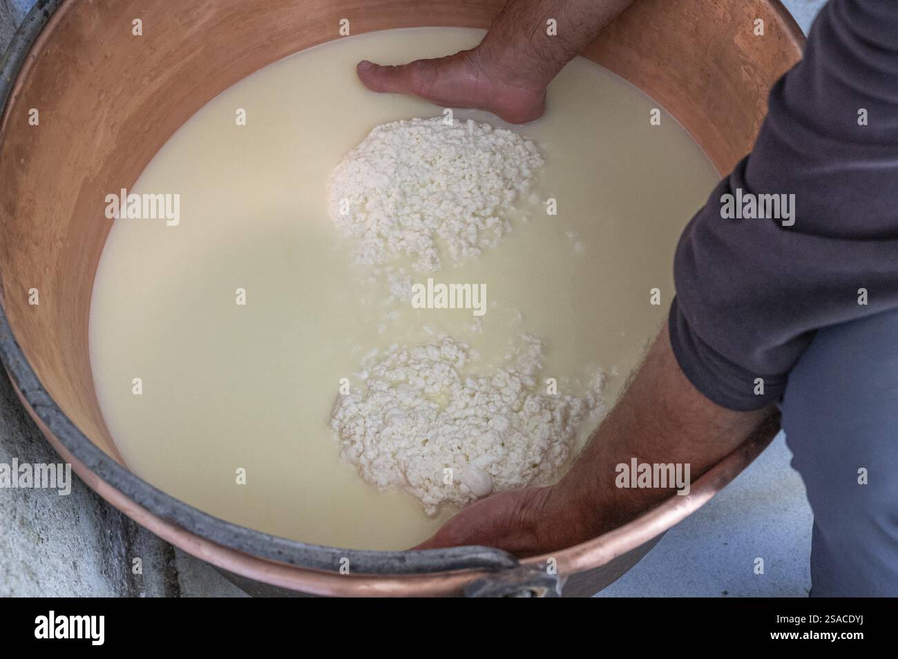Produzione di formaggio in un rifugio dei Pirenei transumanza, con Regis Carrere che forma il formaggio, alta valle dell'Ossau, Laruns, Bearn, Pirenei-Atla Foto Stock Produzione di formaggio in un rifugio dei Pirenei transumanza, con Regis Carrere che forma il formaggio, alta valle dell'Ossau, Laruns, Bearn, Pirenei-Atla Foto Stock