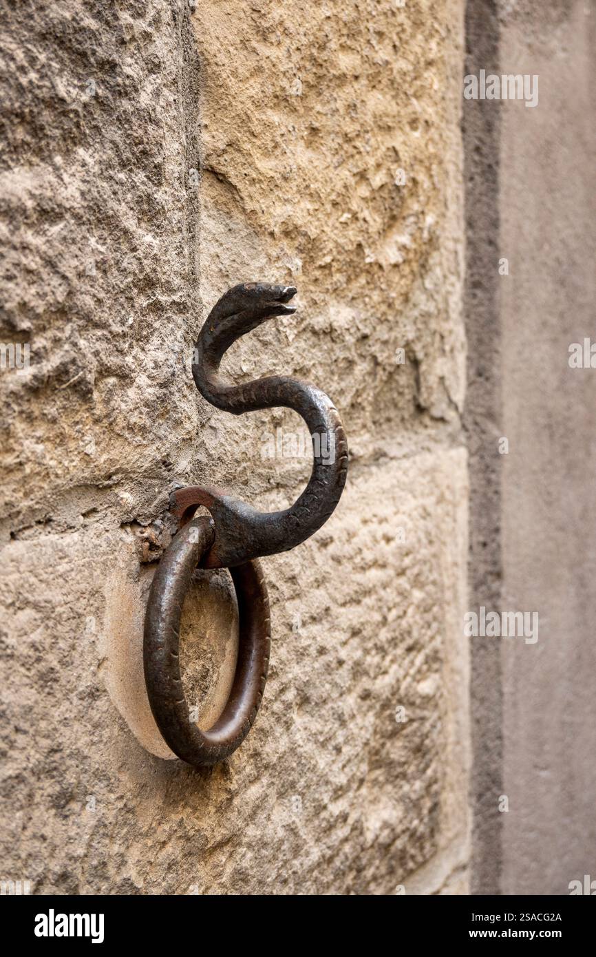 Serpente e cerchio in metallo ornato Foto Stock