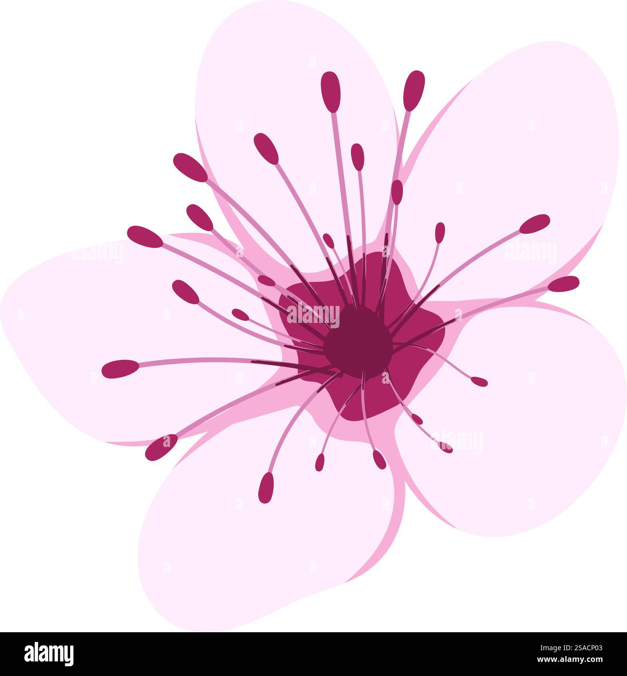 Elemento fiore Sakura. Illustrazione vettoriale. Illustrazione Vettoriale