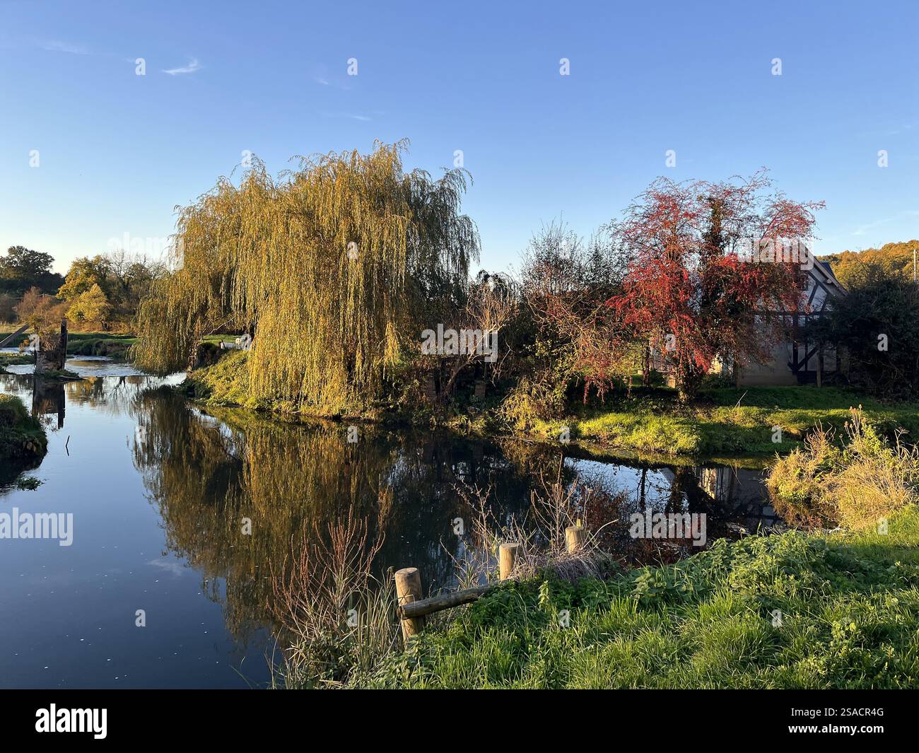 Fiume Risle a Champignolles, Eure, Francia Foto Stock