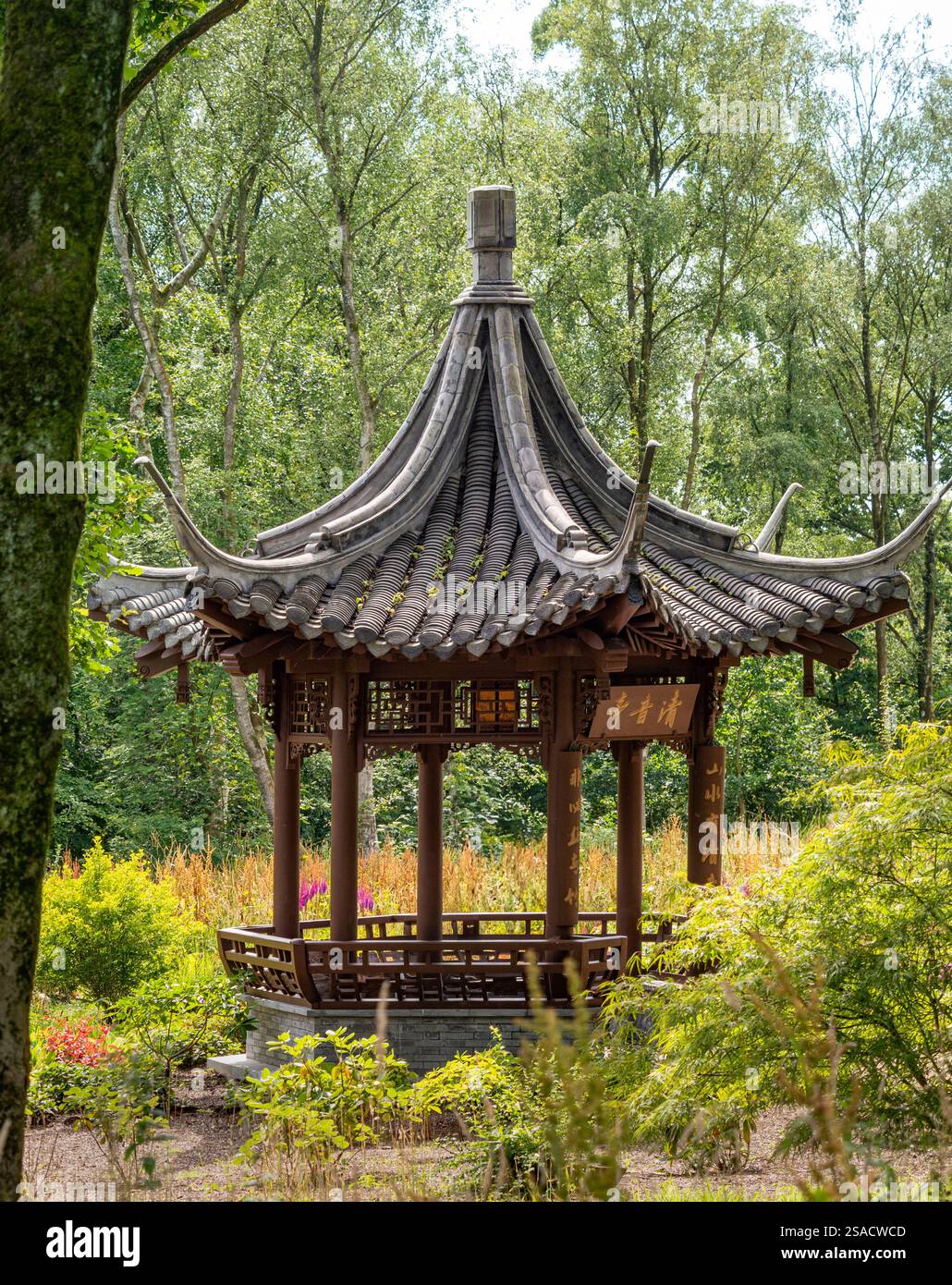 Il Music Pavilion nel Chinese Streamside Garden a RHS Bridgewater. Foto Stock