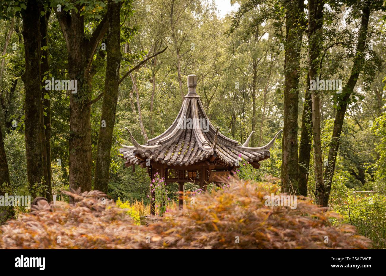 La pagoda buddista si intravede nel bosco del Chinese Streamside Garden, incorniciata dal fogliame dorato di un Acer in primo piano. REGNO UNITO Foto Stock