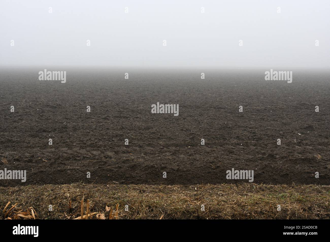 Un vasto campo appena arato si estende in lontananza, svanendo in una fitta nebbia che oscura l'orizzonte. I toni tenui e terrosi e morbidi Foto Stock