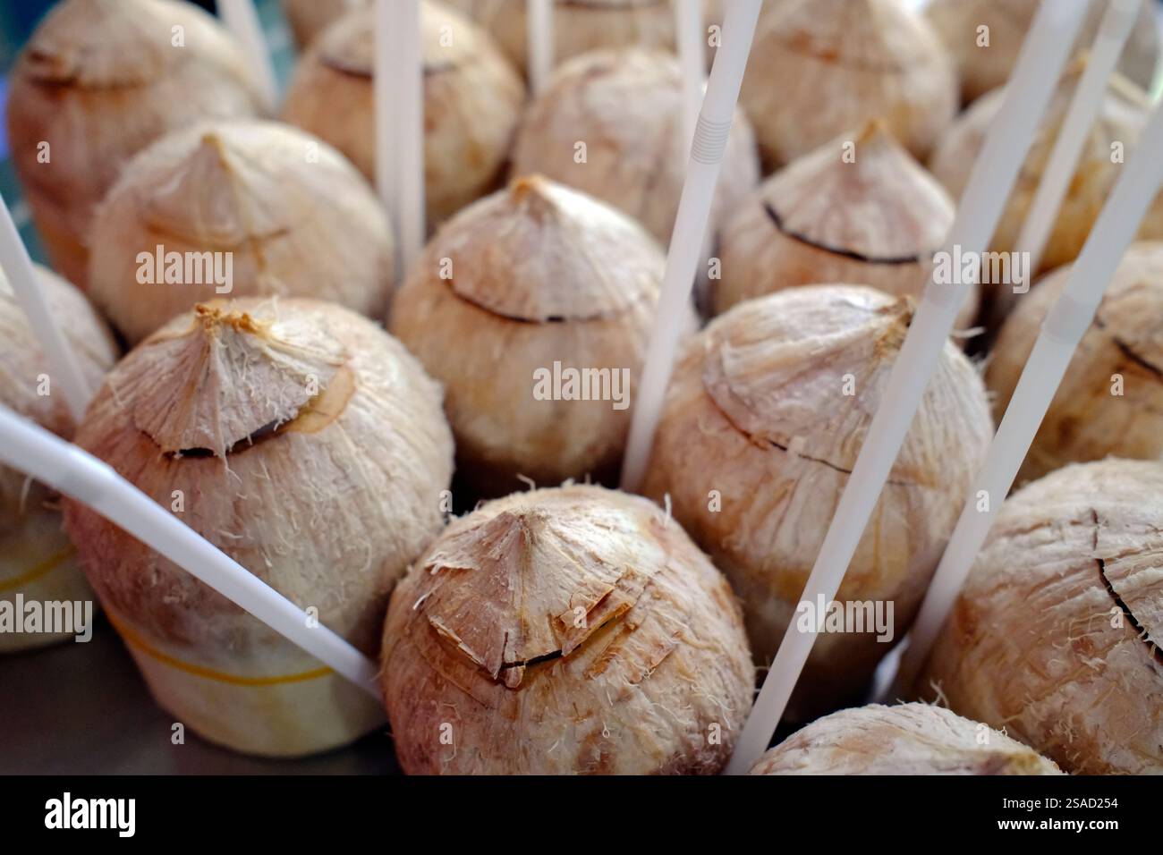 Succo di cocco fresco in vendita. Foto Stock