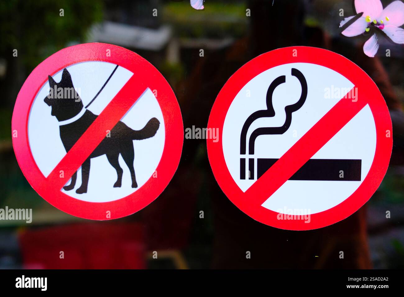 Cartello non ammessi cani e cartello non fumatori sulla porta di un ristorante. Foto Stock