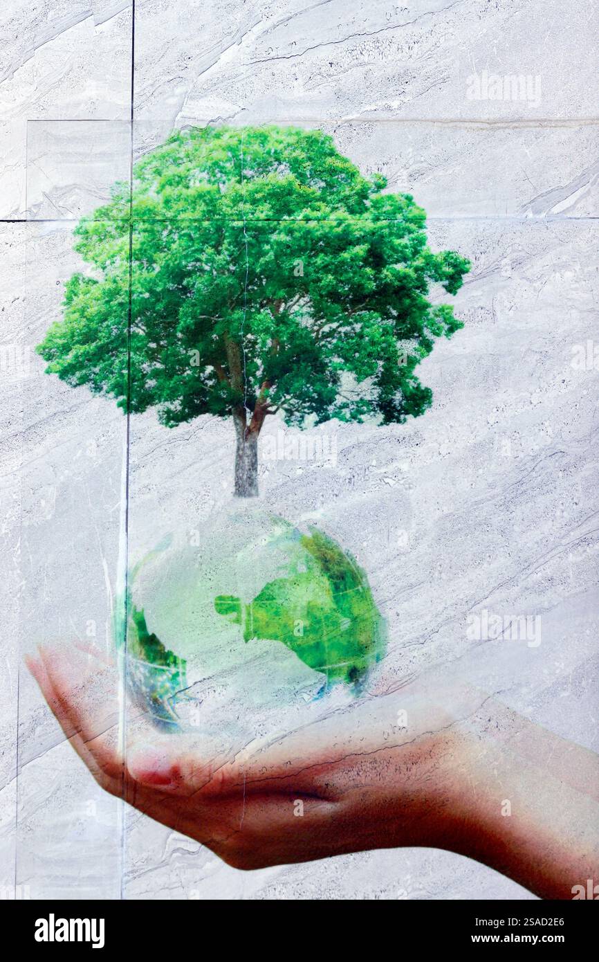 Simbolo ecologico. Preserviamo la natura sulla nostra terra. Tonalità. Vietnam. Foto Stock