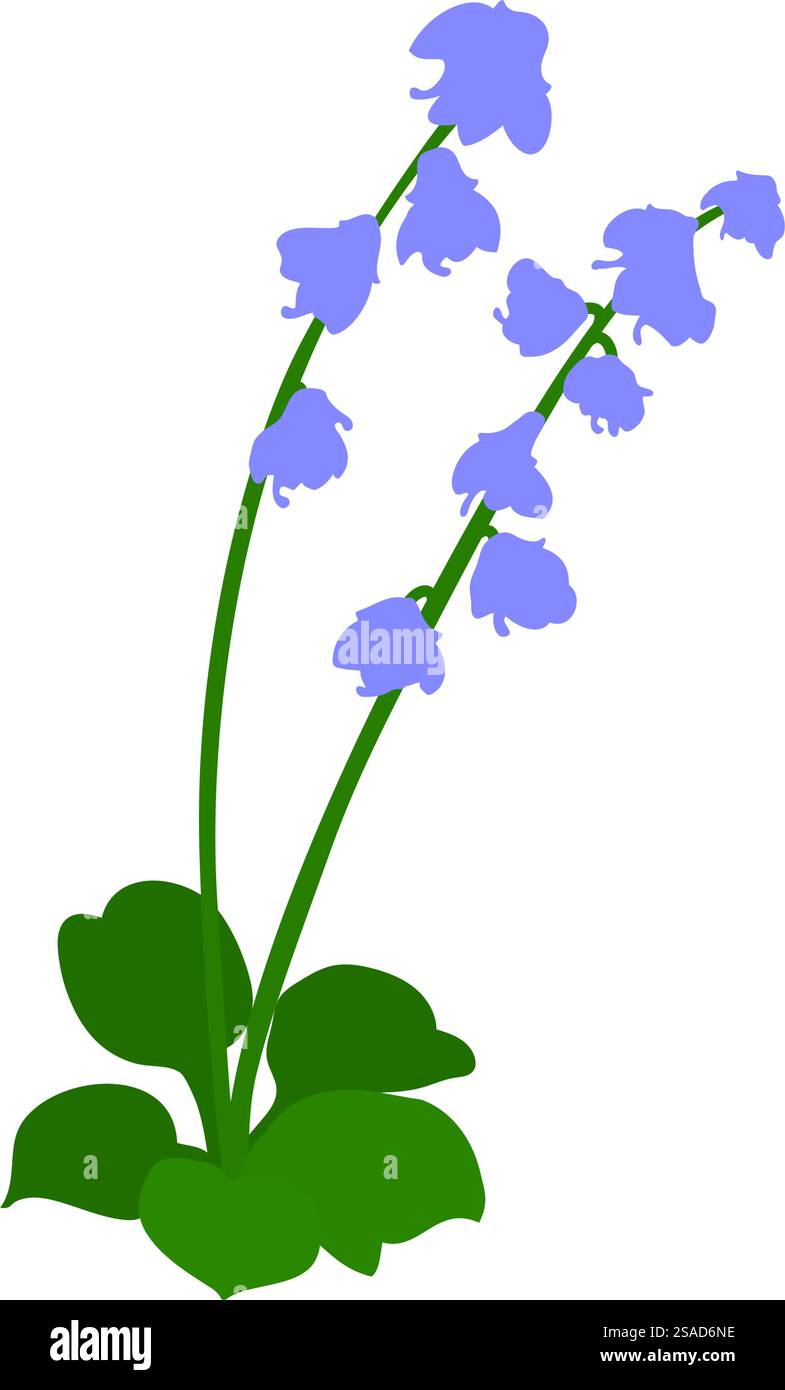 Fiore di campana. Splendido fiore per creare prati estivi e primaverili. Illustrazione vettoriale. Illustrazione Vettoriale