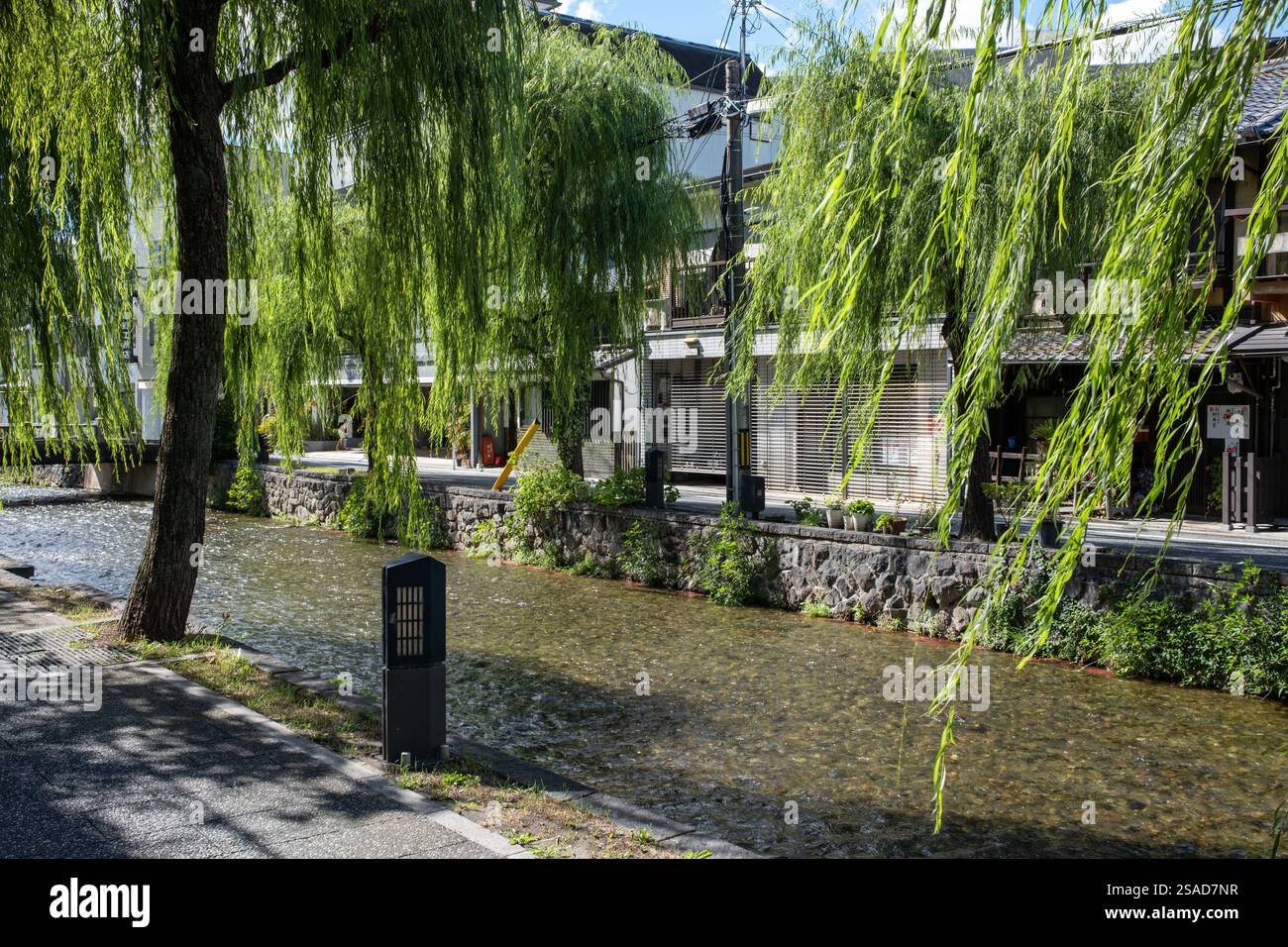 Fiume Shirakawa nel centro di Kyoto in Giappone Foto Stock