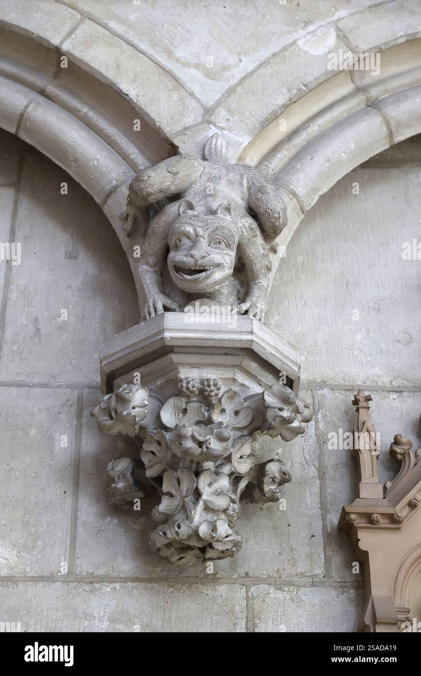 Cattedrale di Santo Stefano, Auxerre, Yonne, Francia. Gargoyle Foto Stock