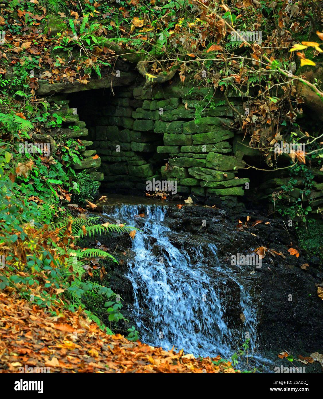 L'acqua cade e scorre da un canale artificiale in pietra in una mattina autunnale a Fairy Glen vicino all'Appley Bridge nel Lancashire occidentale. Foto Stock