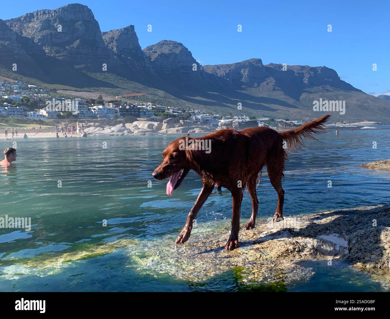 Camps Bay Pool di marea Foto Stock