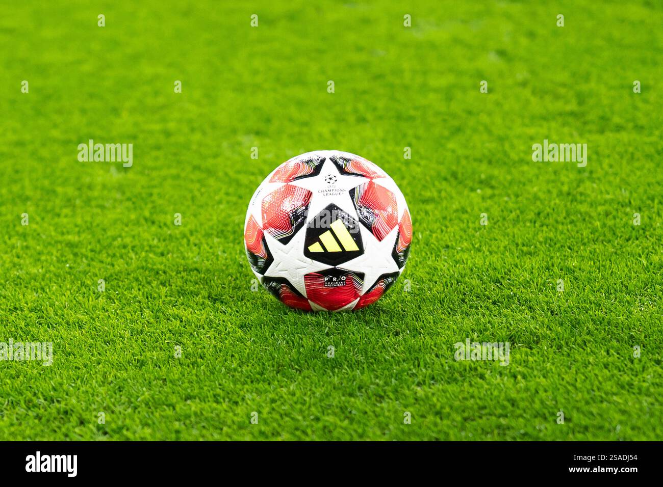 29.01.2025, Signal Iduna Park, Dortmund, GER, UEFA Champions League, 8) Spieltag - Borussia Dortmund vs FC Shakhtar Donetsk Im Bild: Adidas Champions League Ball auf dem Rasen foto © nordphoto GmbH/Christian Schulze Foto Stock