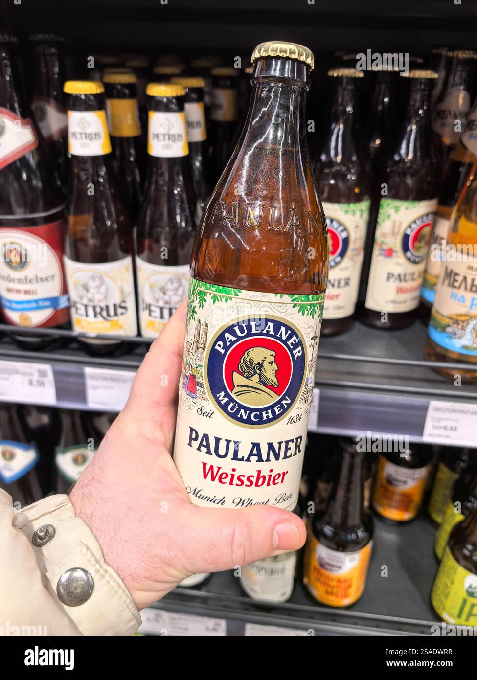 Bobruisk, Bielorussia - 26 gennaio 2025: Una mano espone una bottiglia di Paulaner Weissbier in un negozio ben rifornito, che mostra varie opzioni di birra sul banco Foto Stock
