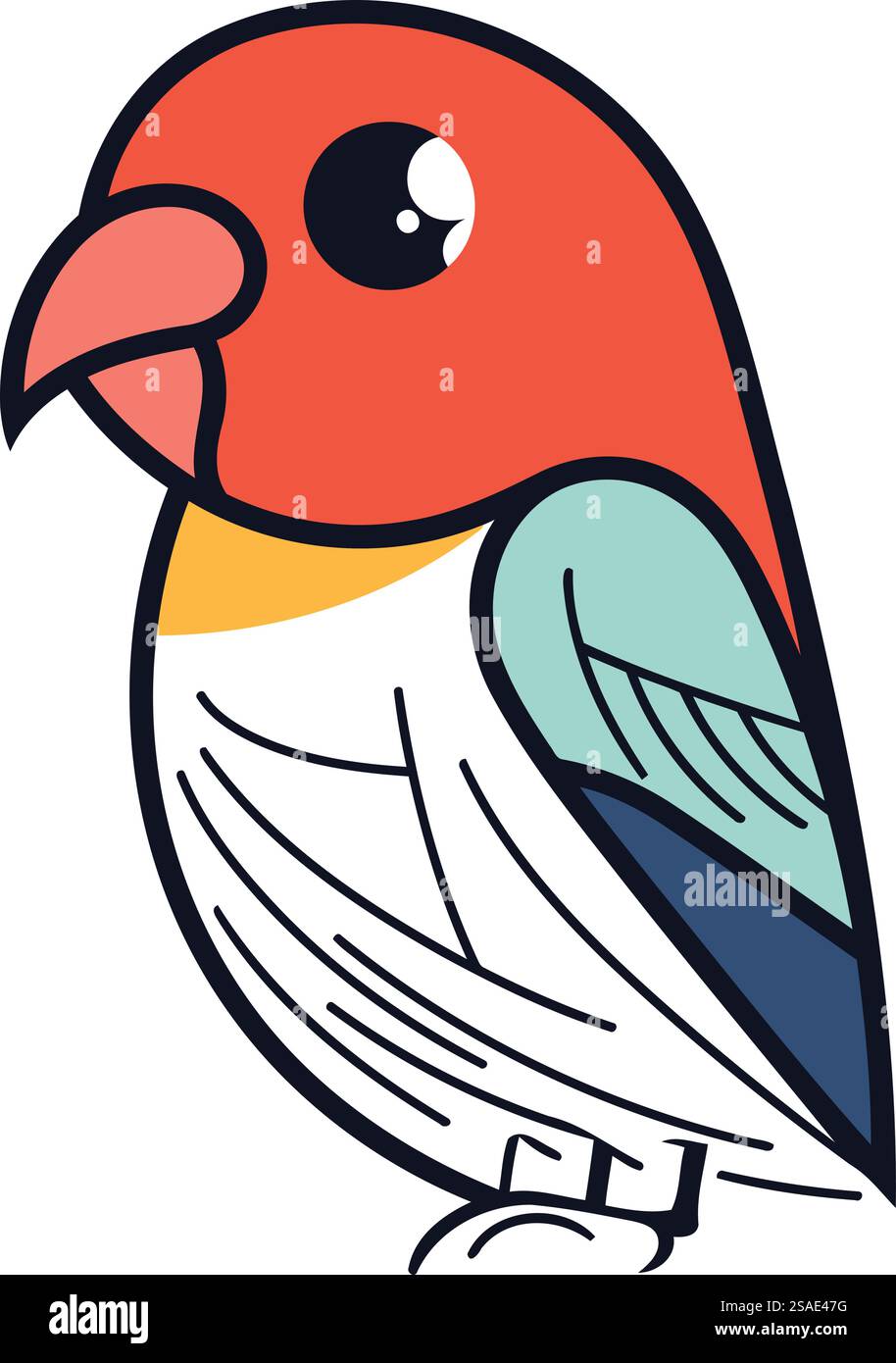 Immagine di un piccolo uccello cardinale isolato su uno sfondo bianco Illustrazione Vettoriale