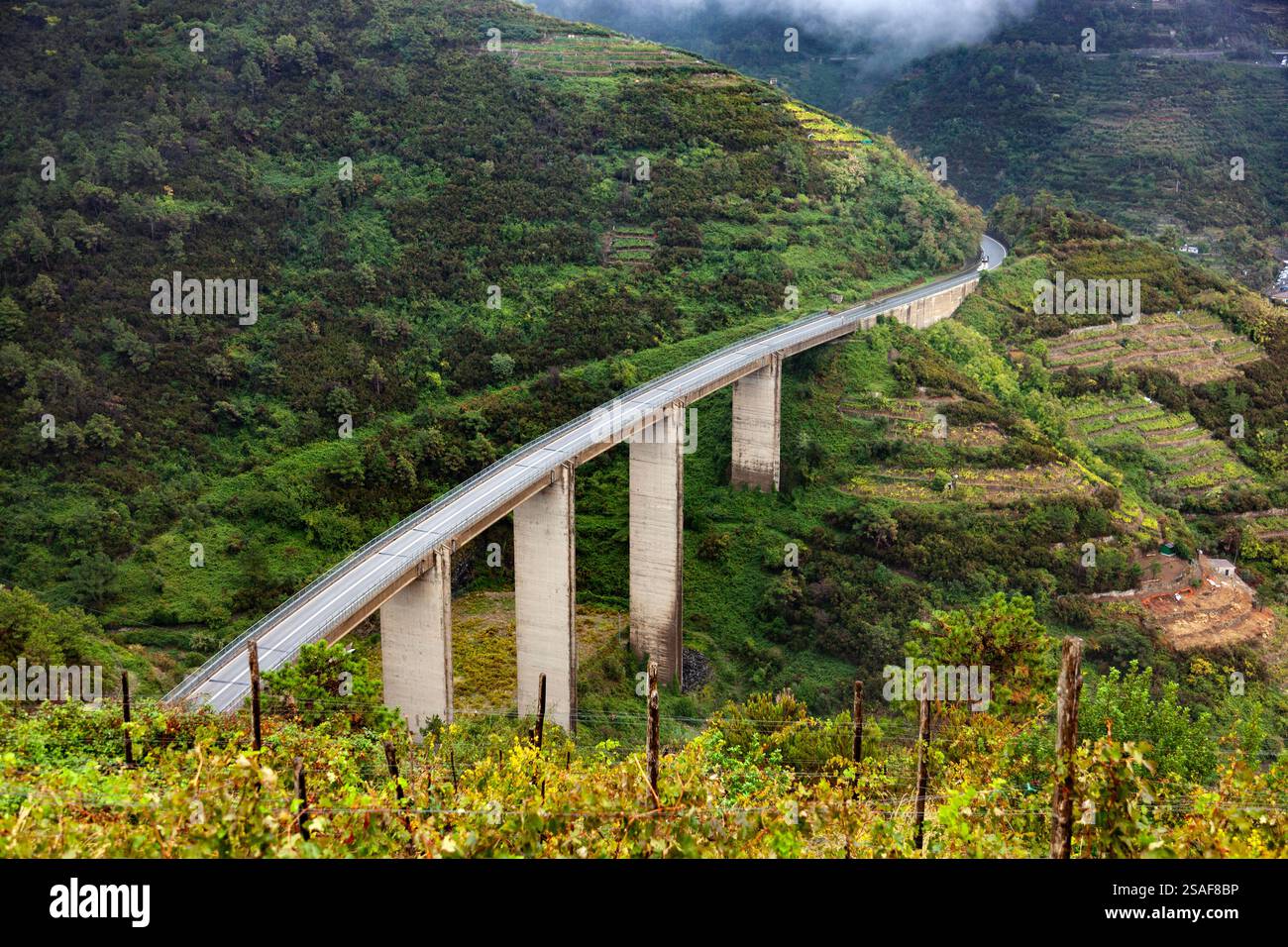 Ponte stradale che attraversa le verdi colline di Manarola, cinque Terre, la Spezia, Italia Foto Stock