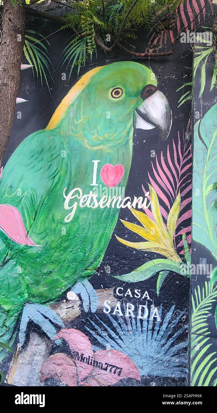 Barrio Getsemani Cartagena Colombia - murale di Street Art - uccello esotico / murale d'arte callejero: Pájaro exótico - Immagine stock catturata con smartphone
