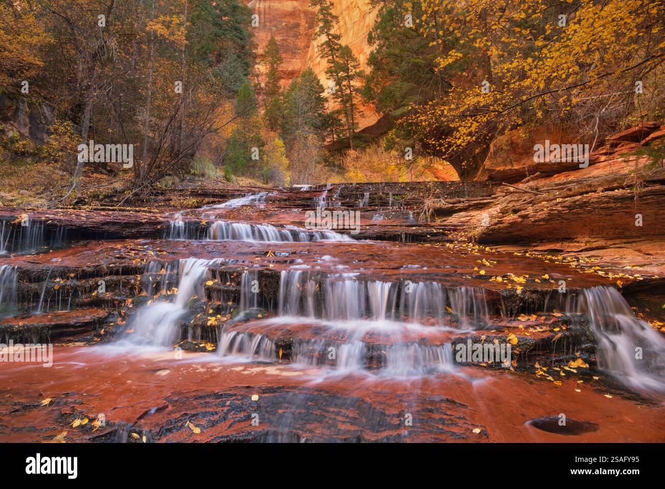 Archangel Falls sulla Fork sinistra di North Creek, Zion National Park Foto Stock