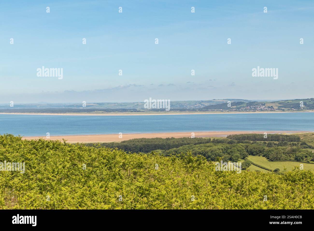 Estuario di Loughor, vista dalla penisola di Gower, Swansea, Galles del Sud, Regno Unito Foto Stock