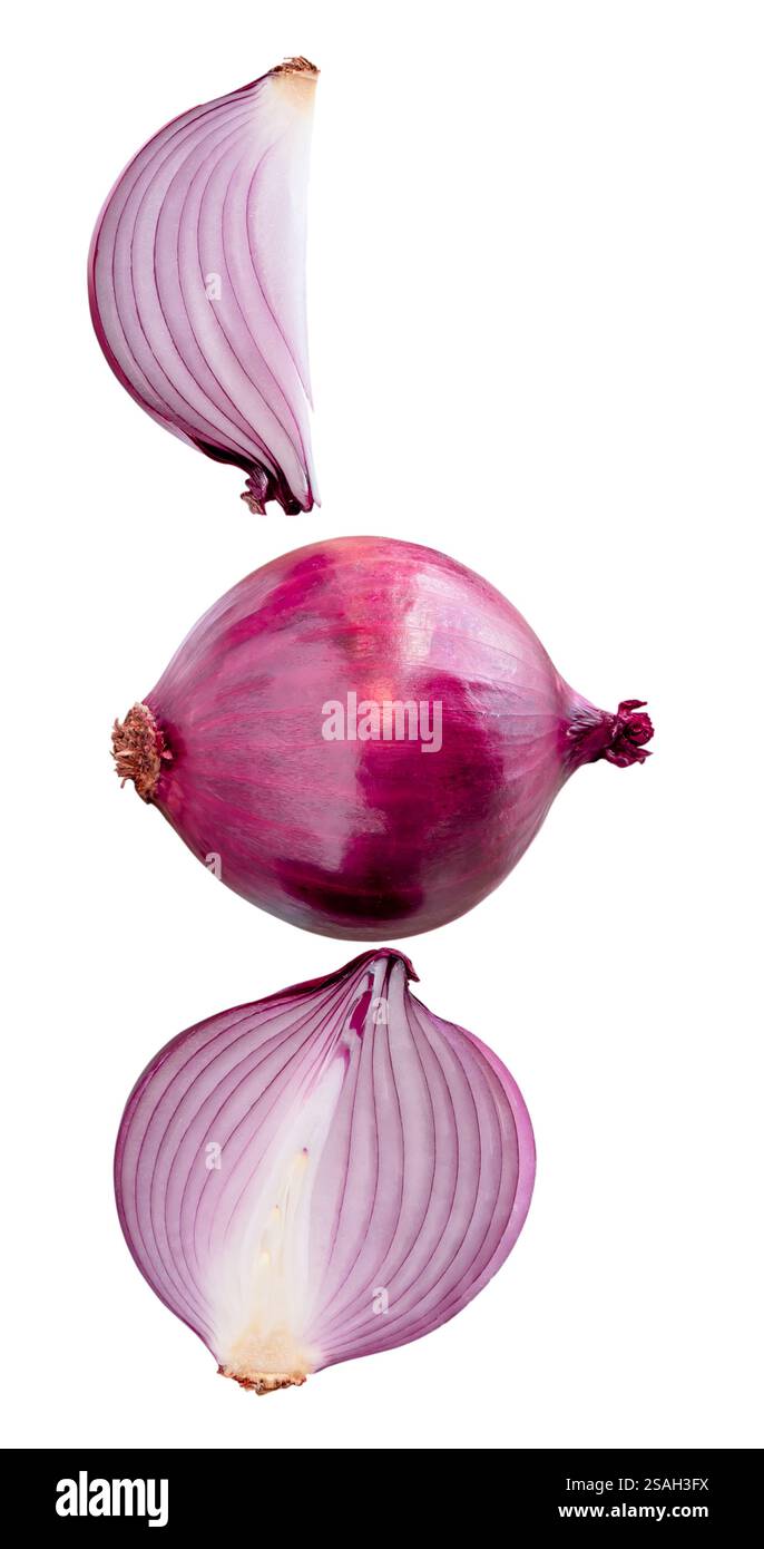La vista dall'alto della cipolla rossa o viola fresca con metà e quarto in set è isolata su sfondo bianco con percorso di ritaglio. Foto Stock