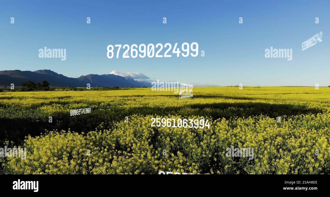 Immagine dell'elaborazione dei dati in orizzontale Foto Stock