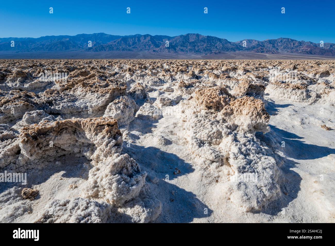Campo da golf devil's, salina, Death Valley National Park, California, Stati Uniti Foto Stock