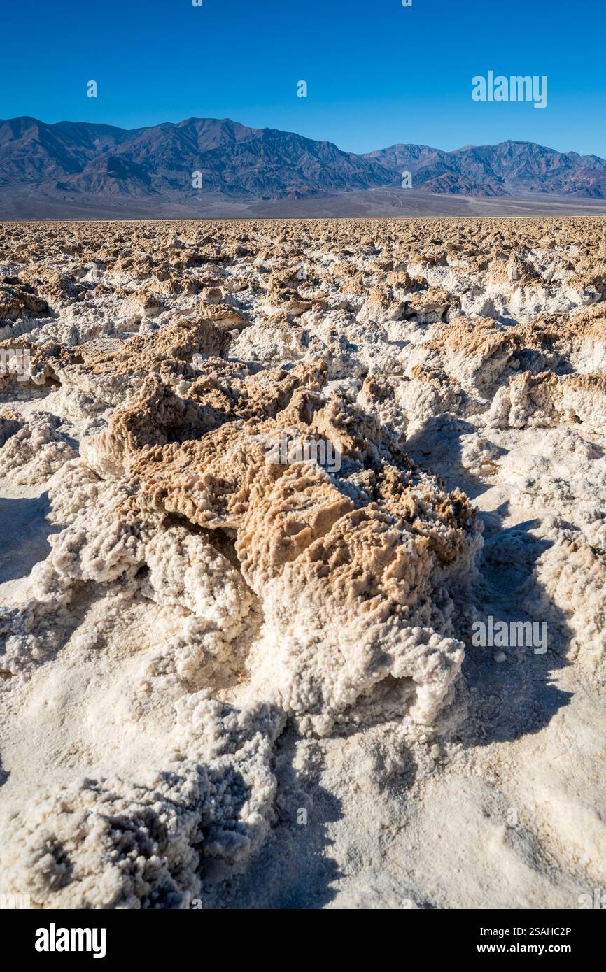 Campo da golf devil's, salina, Death Valley National Park, California, Stati Uniti Foto Stock