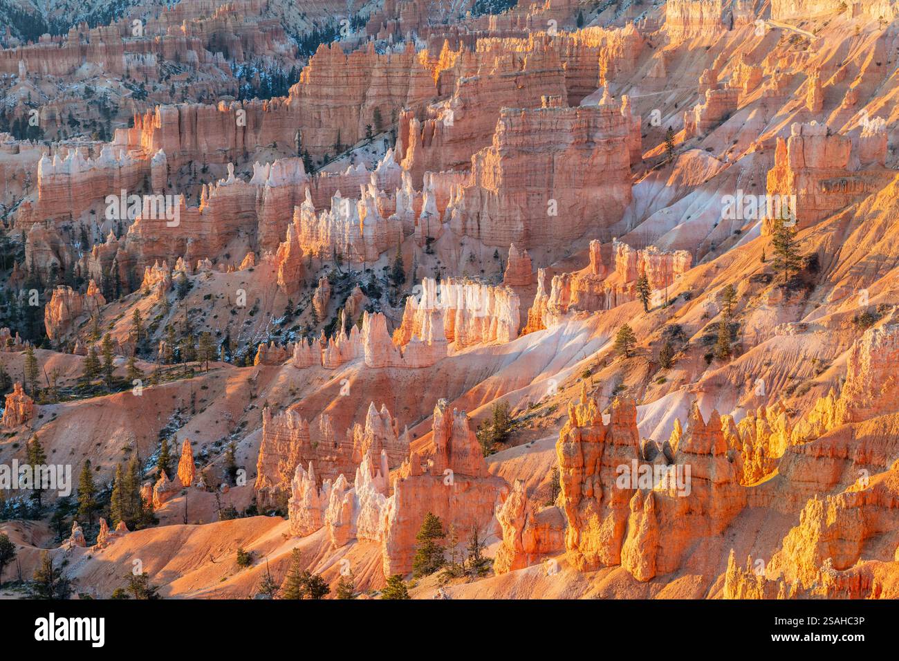 Sunrise a Bryce Canyon National Park, Utah, Stati Uniti d'America Foto Stock