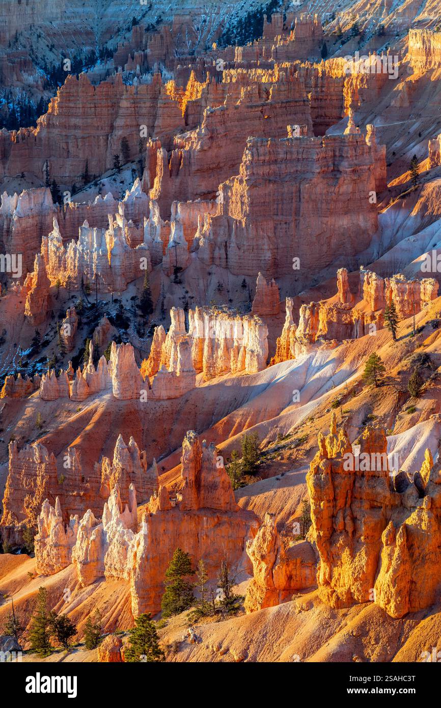 Sunrise a Bryce Canyon National Park, Utah, Stati Uniti d'America Foto Stock