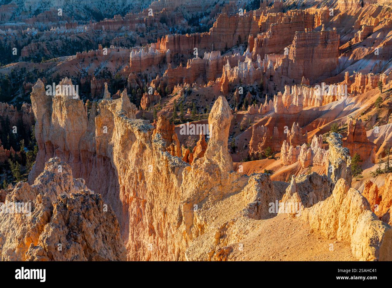 Sunrise a Bryce Canyon National Park, Utah, Stati Uniti d'America Foto Stock