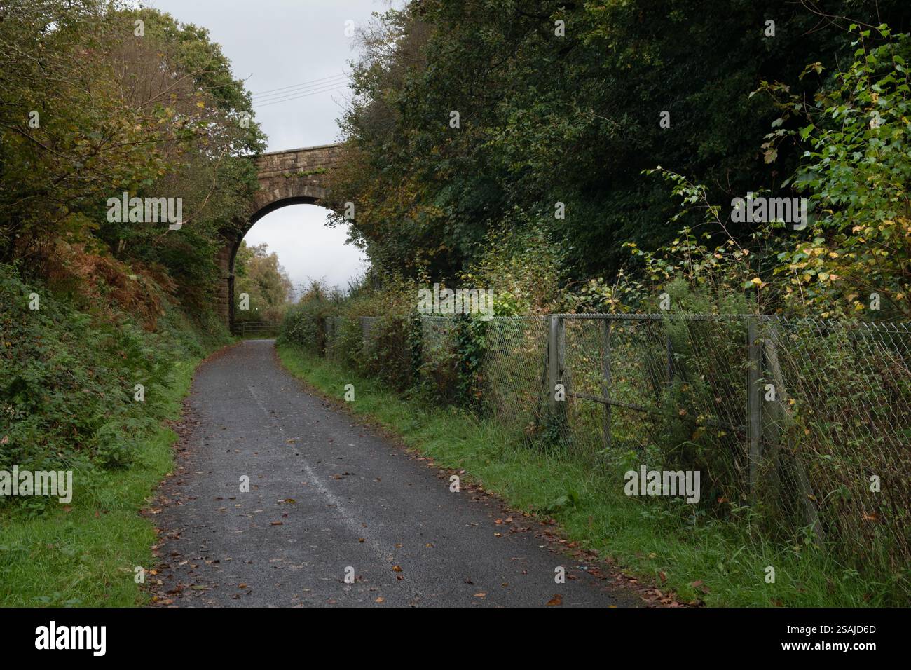 L'ex Southern Railway e ora pista ciclabile, Okehampton, Devon, Inghilterra Foto Stock