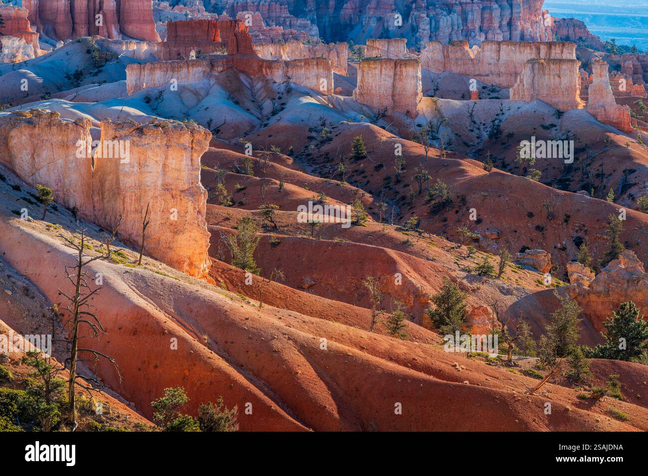 Parco Nazionale di Bryce Canyon, Utah, Stati Uniti d'America Foto Stock