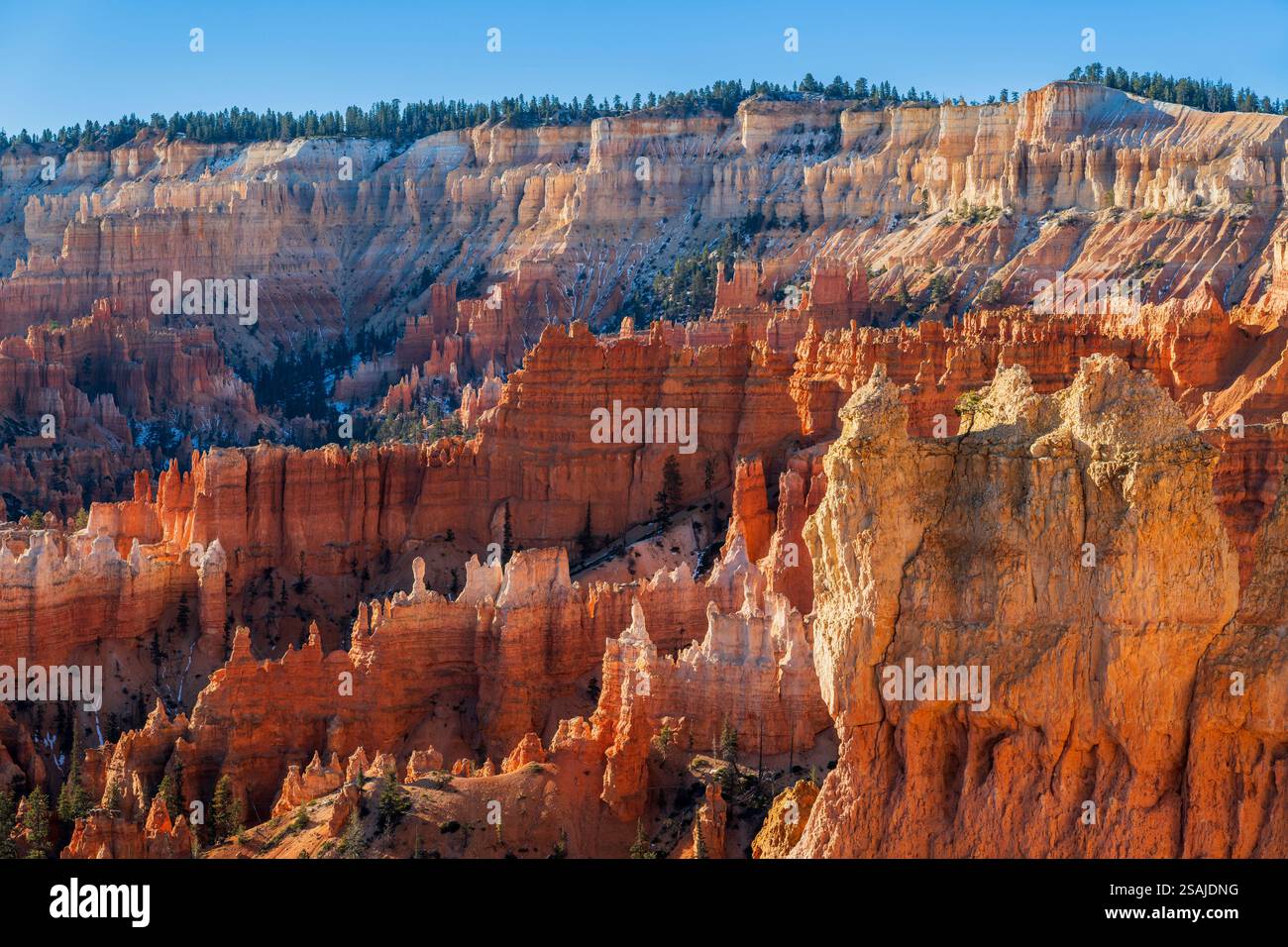 Vista sull'anfiteatro all'alba, sul Bryce Canyon National Park, Utah, Stati Uniti Foto Stock