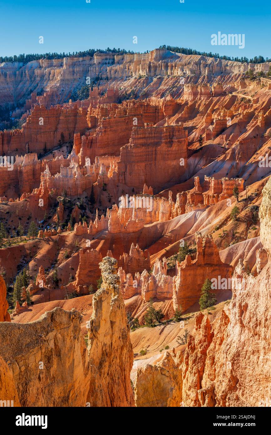 Vista sull'anfiteatro all'alba, sul Bryce Canyon National Park, Utah, Stati Uniti Foto Stock