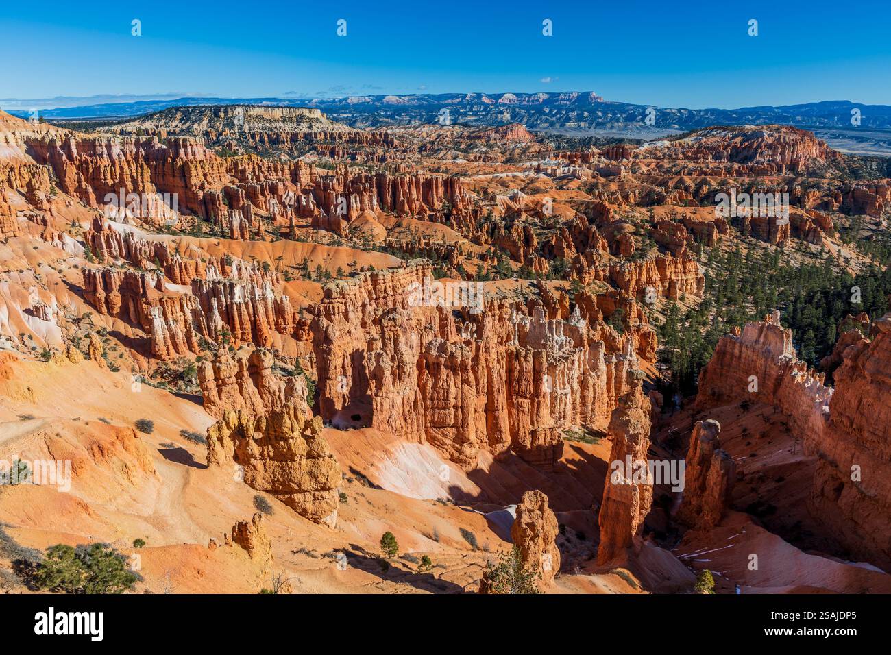 Vista sull'anfiteatro, sul Bryce Canyon National Park, Utah, Stati Uniti Foto Stock