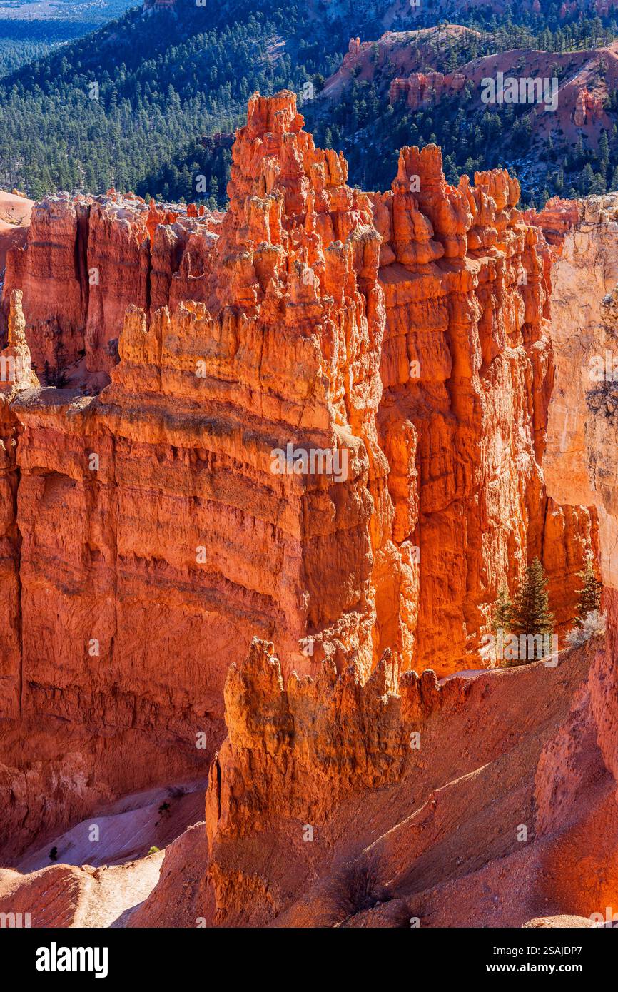 Hoodoos, Parco Nazionale di Bryce Canyon, Utah, Stati Uniti d'America Foto Stock