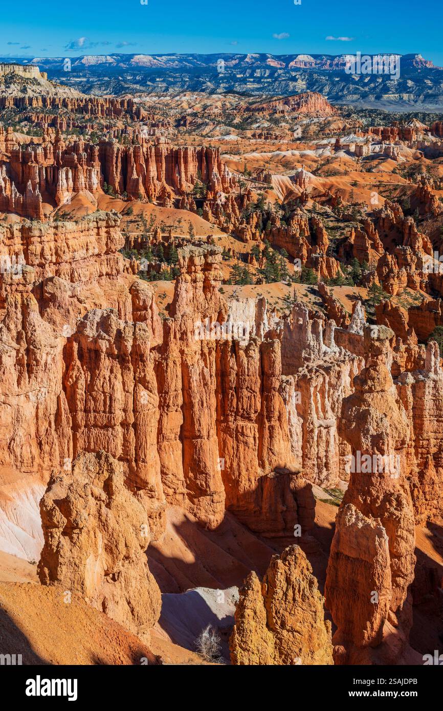 Hoodoos, Parco Nazionale di Bryce Canyon, Utah, Stati Uniti d'America Foto Stock