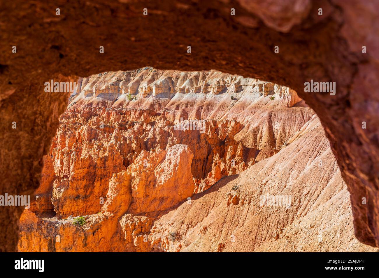 Parco Nazionale di Bryce Canyon, Utah, Stati Uniti d'America Foto Stock