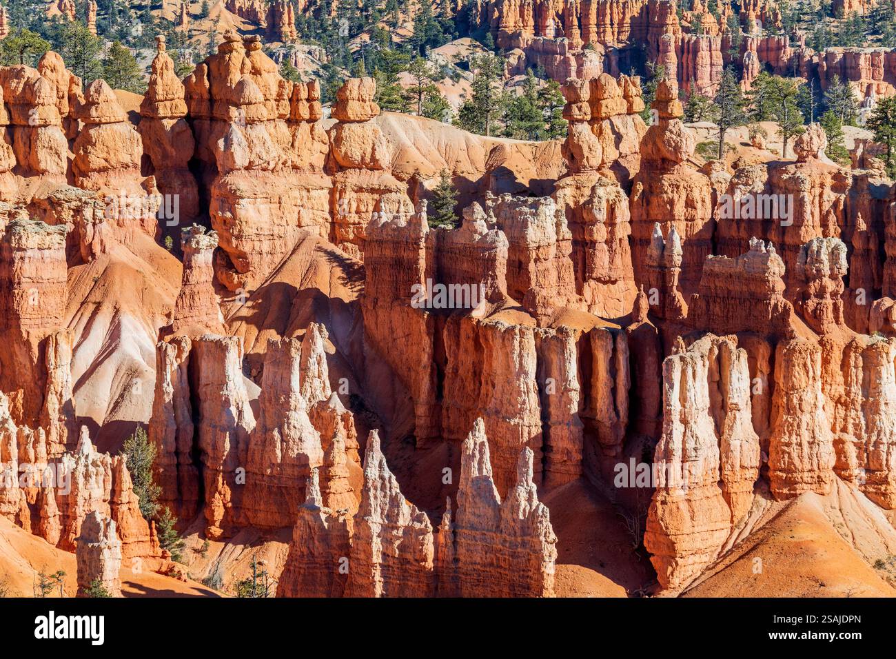 Hoodoos, Parco Nazionale di Bryce Canyon, Utah, Stati Uniti d'America Foto Stock